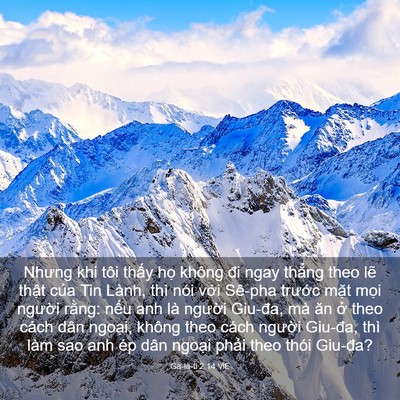 Picture 03 - Ga-la-ti 2:14 VIE - Nhưng khi tôi thấy họ không đi ngay - Bible Verse Picture