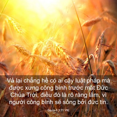Picture 03 - Ga-la-ti 3:11 VIE - Vả lại chẳng hề có ai cậy luật pháp - Bible Verse Picture
