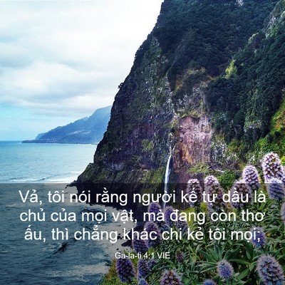 Picture 03 - Ga-la-ti 4:1 VIE - Vả, tôi nói rằng người kế tự dầu - Bible Verse Picture