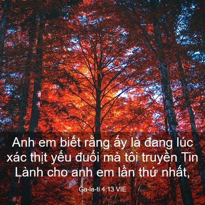 Picture 03 - Ga-la-ti 4:13 VIE - Anh em biết rằng ấy là đang lúc xác - Bible Verse Picture