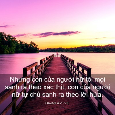 Picture 03 - Ga-la-ti 4:23 VIE - Nhưng con của người nữ tôi mọi sanh ra - Bible Verse Picture