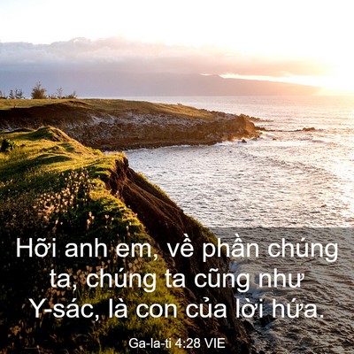 Picture 03 - Ga-la-ti 4:28 VIE - Hỡi anh em, về phần chúng ta, chúng ta - Bible Verse Picture