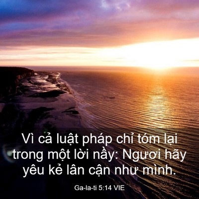 Picture 03 - Ga-la-ti 5:14 VIE - Vì cả luật pháp chỉ tóm lại trong - Bible Verse Picture