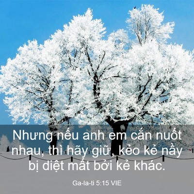 Picture 03 - Ga-la-ti 5:15 VIE - Nhưng nếu anh em cắn nuốt nhau, thì hãy - Bible Verse Picture