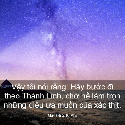Picture 03 - Ga-la-ti 5:16 VIE - Vậy tôi nói rằng: Hãy bước đi theo - Bible Verse Picture