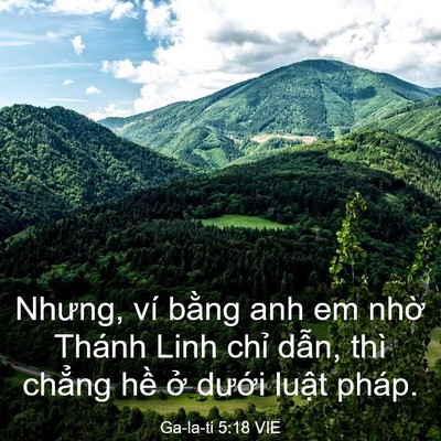 Picture 03 - Ga-la-ti 5:18 VIE - Nhưng, ví bằng anh em nhờ Thánh Linh chỉ - Bible Verse Picture