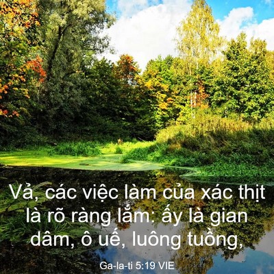 Picture 03 - Ga-la-ti 5:19 VIE - Vả, các việc làm của xác thịt là rõ - Bible Verse Picture