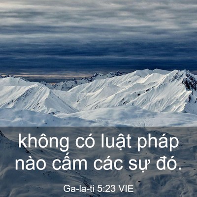 Picture 03 - Ga-la-ti 5:23 VIE - không có luật pháp nào cấm các sự - Bible Verse Picture