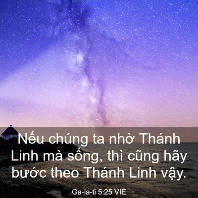 Picture 03 - Ga-la-ti 5:25 VIE - Nếu chúng ta nhờ Thánh Linh mà sống, - Bible Verse Picture