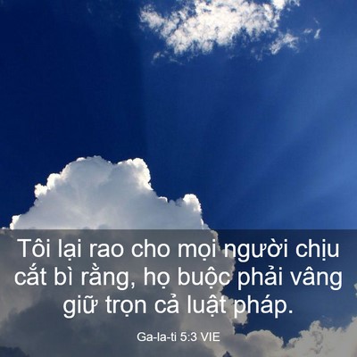 Picture 03 - Ga-la-ti 5:3 VIE - Tôi lại rao cho mọi người chịu cắt - Bible Verse Picture