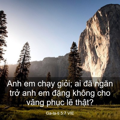 Picture 03 - Ga-la-ti 5:7 VIE - Anh em chạy giỏi; ai đã ngăn trở anh em - Bible Verse Picture