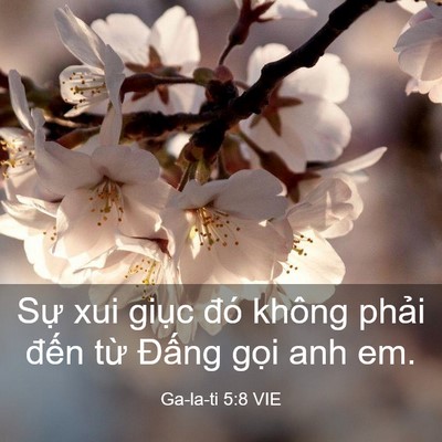 Picture 03 - Ga-la-ti 5:8 VIE - Sự xui giục đó không phải đến từ - Bible Verse Picture