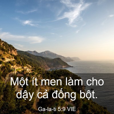 Picture 03 - Ga-la-ti 5:9 VIE - Một ít men làm cho dậy cả đống - Bible Verse Picture
