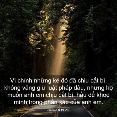 Picture 03 - Ga-la-ti 6:13 VIE - Vì chính những kẻ đó đã chịu cắt - Bible Verse Picture
