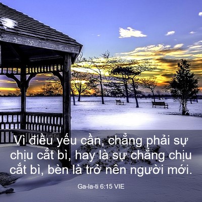 Picture 03 - Ga-la-ti 6:15 VIE - Vì điều yếu cần, chẳng phải sự - Bible Verse Picture