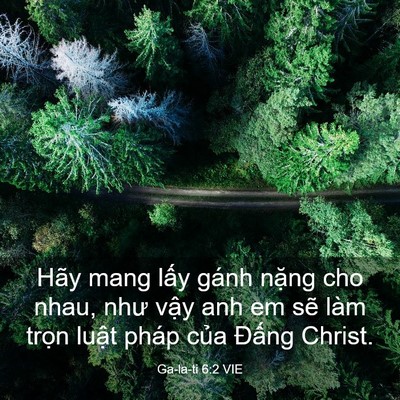 Picture 03 - Ga-la-ti 6:2 VIE - Hãy mang lấy gánh nặng cho nhau, như vậy - Bible Verse Picture