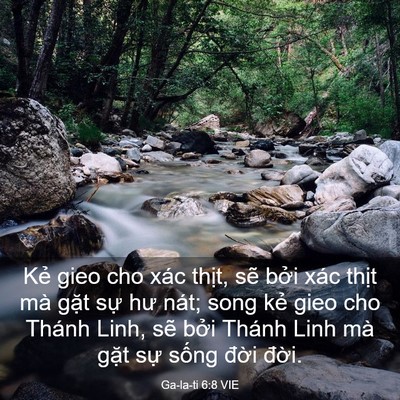 Picture 03 - Ga-la-ti 6:8 VIE - Kẻ gieo cho xác thịt, sẽ bởi xác thịt - Bible Verse Picture
