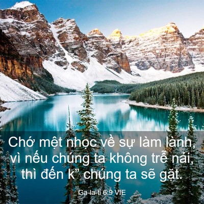 Picture 03 - Ga-la-ti 6:9 VIE - Chớ mệt nhọc về sự làm lành, vì - Bible Verse Picture
