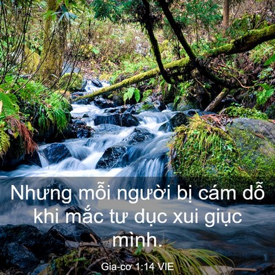 Picture 03 - Gia-cơ 1:14 VIE - Nhưng mỗi người bị cám dỗ khi mắc - Bible Verse Picture