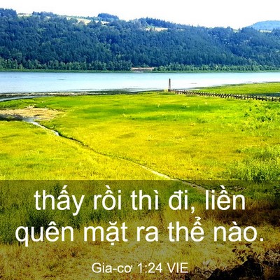 Picture 03 - Gia-cơ 1:24 VIE - thấy rồi thì đi, liền quên mặt ra - Bible Verse Picture