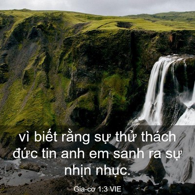 Picture 03 - Gia-cơ 1:3 VIE - vì biết rằng sự thử thách đức tin - Bible Verse Picture