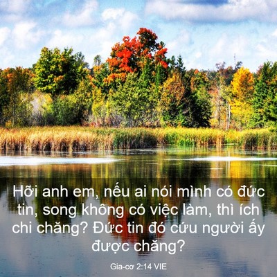 Picture 03 - Gia-cơ 2:14 VIE - Hỡi anh em, nếu ai nói mình có đức tin, - Bible Verse Picture