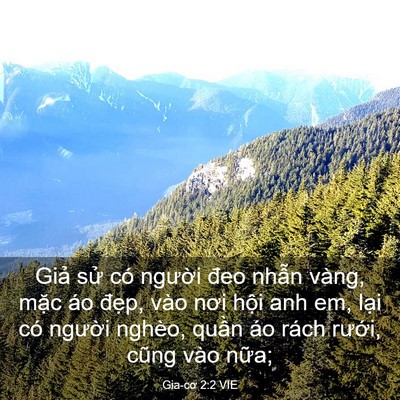 Picture 03 - Gia-cơ 2:2 VIE - Giả sử có người đeo nhẫn vàng, mặc - Bible Verse Picture