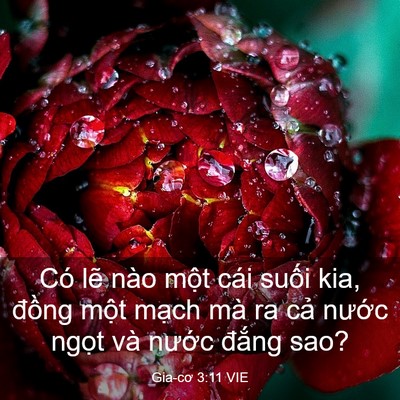 Picture 03 - Gia-cơ 3:11 VIE - Có lẽ nào một cái suối kia, đồng - Bible Verse Picture