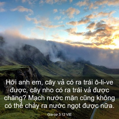 Picture 03 - Gia-cơ 3:12 VIE - Hỡi anh em, cây vả có ra trái ô-li-ve - Bible Verse Picture