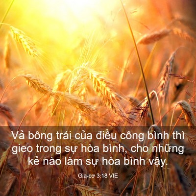Picture 03 - Gia-cơ 3:18 VIE - Vả bông trái của điều công bình thì - Bible Verse Picture