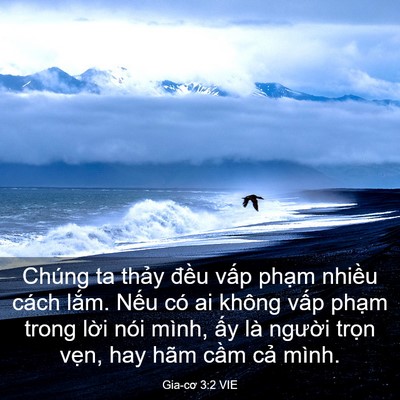Picture 03 - Gia-cơ 3:2 VIE - Chúng ta thảy đều vấp phạm nhiều - Bible Verse Picture
