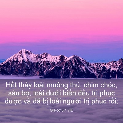 Picture 03 - Gia-cơ 3:7 VIE - Hết thảy loài muông thú, chim chóc, sâu - Bible Verse Picture
