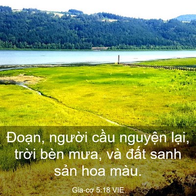 Picture 03 - Gia-cơ 5:18 VIE - Đoạn, người cầu nguyện lại, trời - Bible Verse Picture