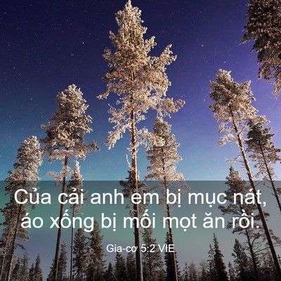 Picture 03 - Gia-cơ 5:2 VIE - Của cải anh em bị mục nát, áo xống - Bible Verse Picture