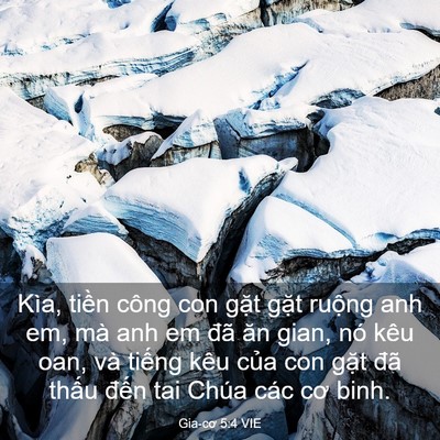 Picture 03 - Gia-cơ 5:4 VIE - Kìa, tiền công con gặt gặt ruộng anh - Bible Verse Picture