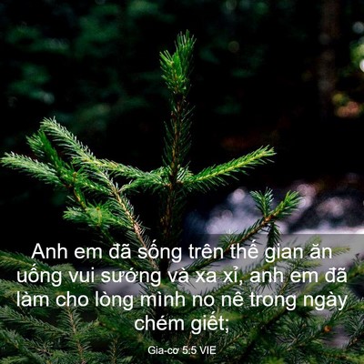 Picture 03 - Gia-cơ 5:5 VIE - Anh em đã sống trên thế gian ăn uống - Bible Verse Picture