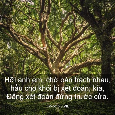 Picture 03 - Gia-cơ 5:9 VIE - Hỡi anh em, chớ oán trách nhau, hầu cho - Bible Verse Picture