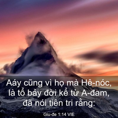 Picture 03 - Giu-đe 1:14 VIE - Aáy cũng vì họ mà Hê-nóc, là tổ bảy - Bible Verse Picture