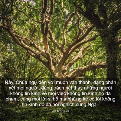 Picture 03 - Giu-đe 1:15 VIE - Nầy, Chúa ngự đến với muôn vàn - Bible Verse Picture