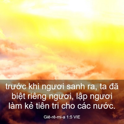 Picture 03 - Giê-rê-mi-a 1:5 VIE - trước khi ngươi sanh ra, ta đã biệt - Bible Verse Picture
