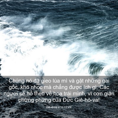 Picture 03 - Giê-rê-mi-a 12:13 VIE - Chúng nó đã gieo lúa mì và gặt những - Bible Verse Picture
