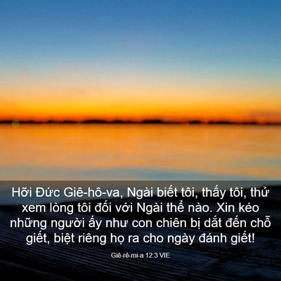 Picture 03 - Giê-rê-mi-a 12:3 VIE - Hỡi Đức Giê-hô-va, Ngài biết tôi, - Bible Verse Picture