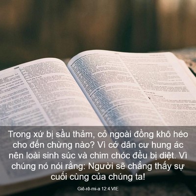 Picture 03 - Giê-rê-mi-a 12:4 VIE - Trong xứ bị sầu thảm, cỏ ngoài đồng - Bible Verse Picture