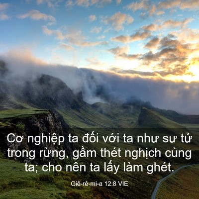 Picture 03 - Giê-rê-mi-a 12:8 VIE - Cơ nghiệp ta đối với ta như sư tử - Bible Verse Picture