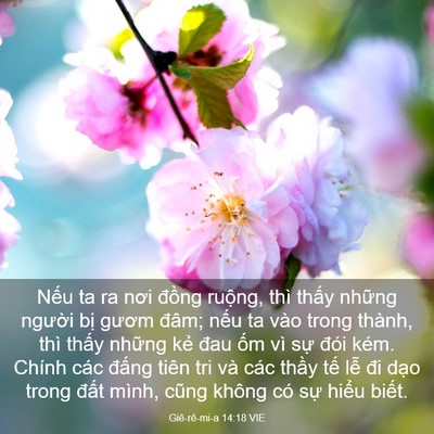 Picture 03 - Giê-rê-mi-a 14:18 VIE - Nếu ta ra nơi đồng ruộng, thì thấy - Bible Verse Picture