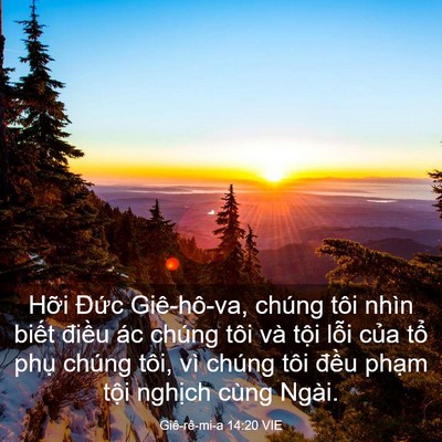 Picture 03 - Giê-rê-mi-a 14:20 VIE - Hỡi Đức Giê-hô-va, chúng tôi nhìn - Bible Verse Picture