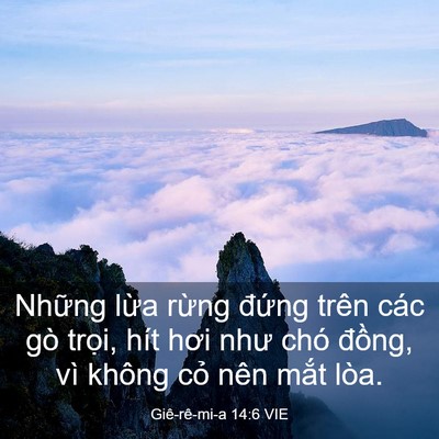 Picture 03 - Giê-rê-mi-a 14:6 VIE - Những lừa rừng đứng trên các gò - Bible Verse Picture