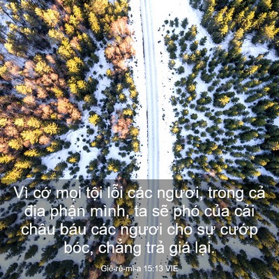 Picture 03 - Giê-rê-mi-a 15:13 VIE - Vì cớ mọi tội lỗi các ngươi, trong - Bible Verse Picture