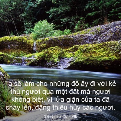 Picture 03 - Giê-rê-mi-a 15:14 VIE - Ta sẽ làm cho những đồ ấy đi với - Bible Verse Picture