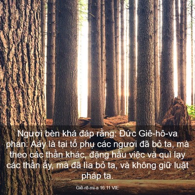 Picture 03 - Giê-rê-mi-a 16:11 VIE - Ngươi bèn khá đáp rằng: Đức - Bible Verse Picture